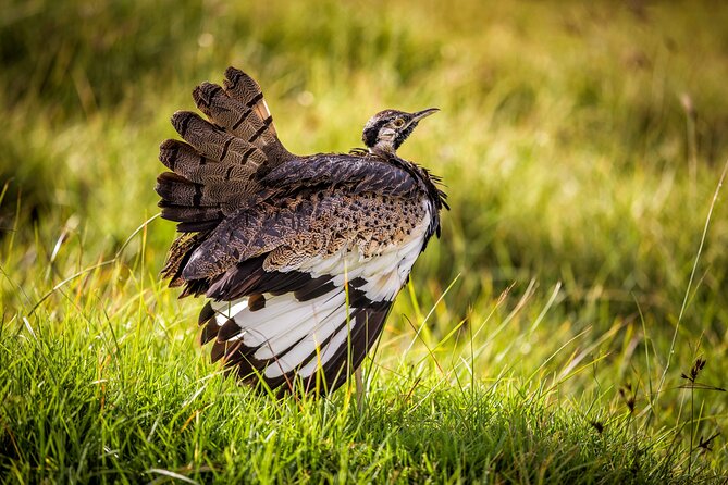 1 Day: Arusha National Park - The guide can shape the whole day