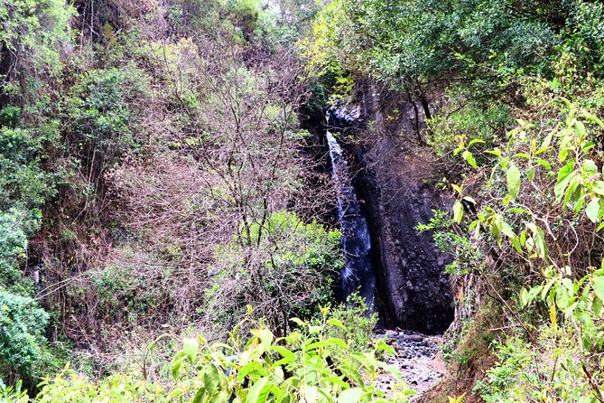 1 Day Arusha national park (Game drive and walking safari). - The Ranger-Led Walk Is the Main Draw