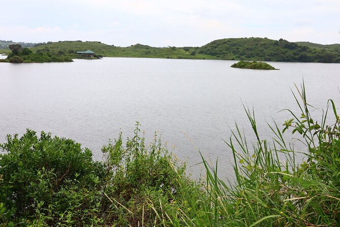 1 Day Arusha national park (Game drive and walking safari). - Guides Who Shape the Day
