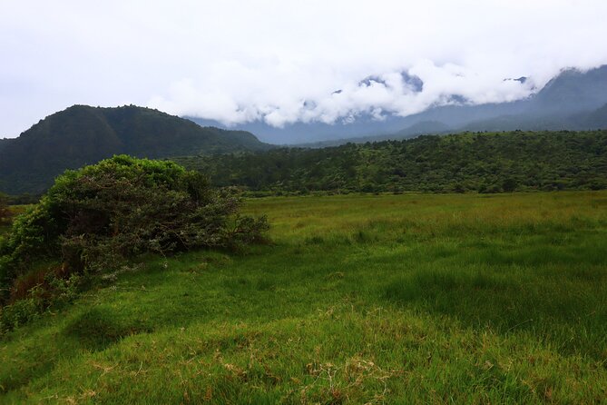 1 Day Arusha national park (Game drive and walking safari). - Practical Details to Set Before You Go