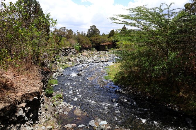 1 Day Arusha national park (Game drive and walking safari). - Entering a Park Beneath Mount Meru