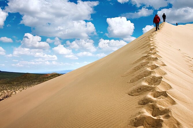 1 Day Express Tour: Altyn Emel National park - Food, transport, and the value of $526