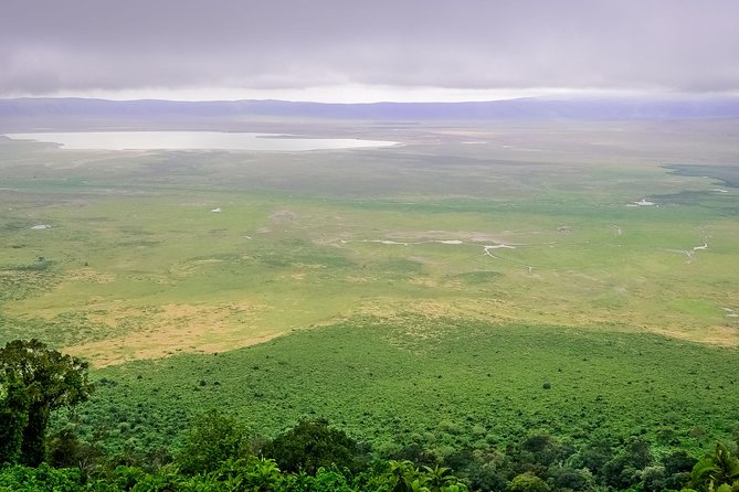 1 Day Joined Group Safari in Ngorongoro Crater National Park - The 5:00 am pickup from Arusha