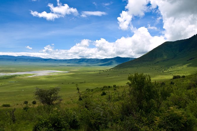 1 Day Joined Group Safari in Ngorongoro Crater National Park - Breakfast at the campsite