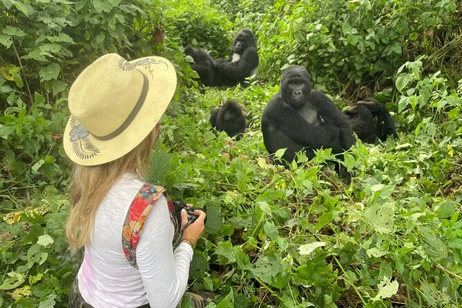 1 Day Rwanda Gorilla Trekking Tour In The Volcanoes National Park - The optional Iby’iwacu cultural visit