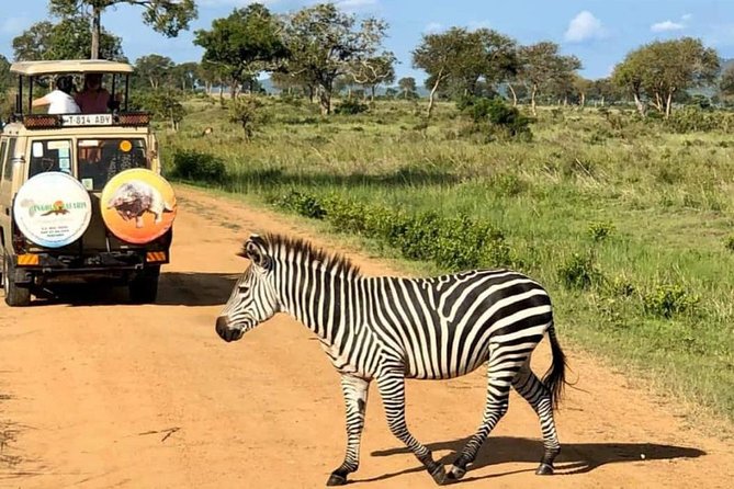 1 Day Safari to Mikumi National Park - The 4:00am pickup and long road south