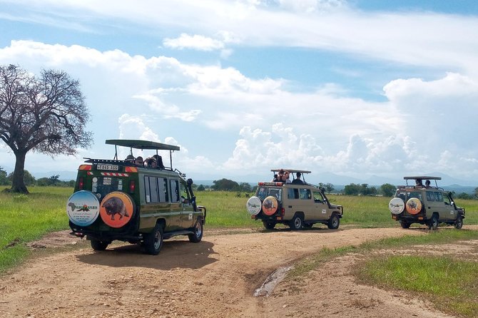 1 Day Safari to Mikumi National Park - What the $470 price really covers