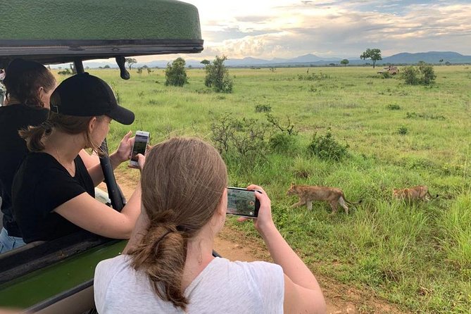 1 Day Safari to Mikumi National Park - Breakfast breaks up the early start