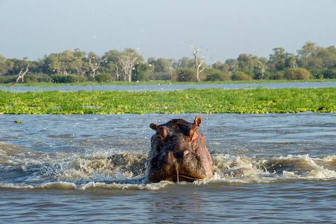 1-Day Selous (Nyerere National Park) Fly-In Safari from Zanzibar - Who will get the most from this safari