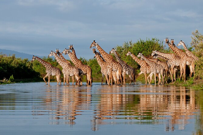 1-Day Selous (Nyerere National Park) Fly-In Safari from Zanzibar - The Rufiji River gives the safari extra range