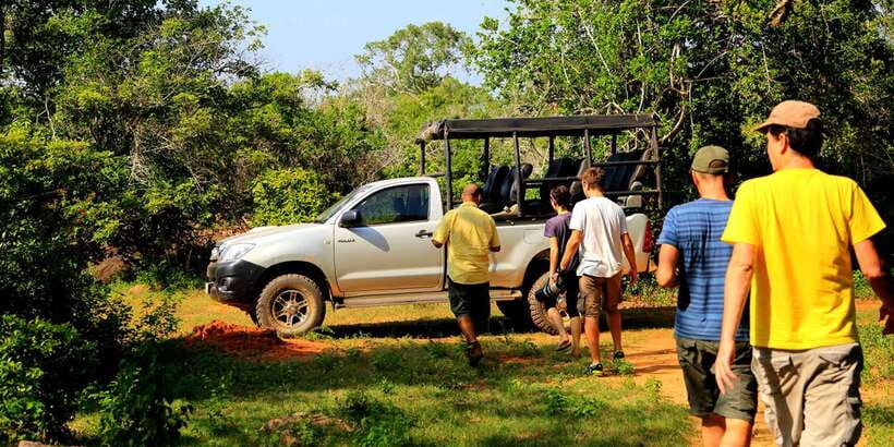 1-Day Tour of Both Yala and Udawalawe National Parks - Key points at a glance