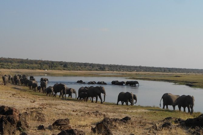 11Day WILDERNESS TRAIL:Okavango,Moremi&Chobe -WildCamping Safari +Victoria Falls - Days 5 and 6: Moremi’s floodplains by open 4x4