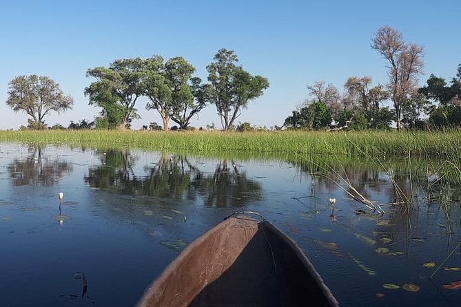 11Day WILDERNESS TRAIL:Okavango,Moremi&Chobe -WildCamping Safari +Victoria Falls - Days 8 and 9: Savute wildlife, then the Chobe River