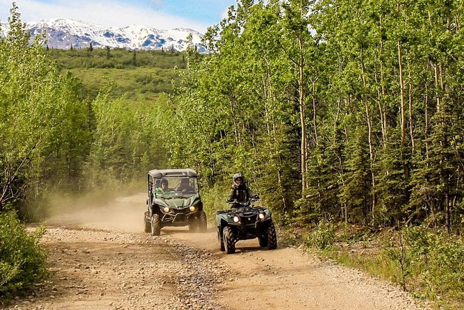 2.5-Hour Denali Wilderness ATV Adventure Tour - The first trails: forest, rocks, and open views