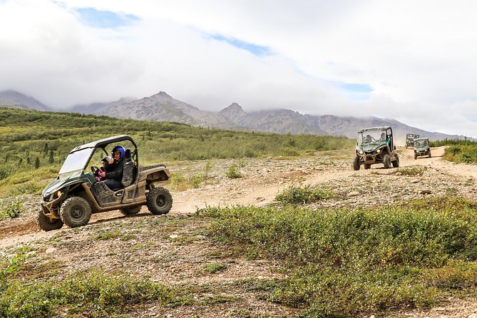 2.5-Hour Denali Wilderness ATV Adventure Tour - Choosing between a single ATV and a side-by-side