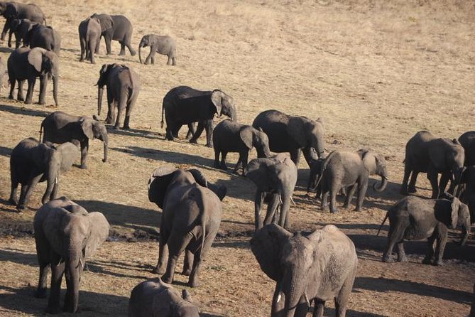 2-Day Camping Safari in Chobe National Park from Victoria Falls - Sleeping in a tent with a private toilet