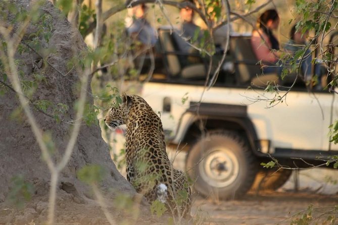 2-Day Camping Safari in Chobe National Park from Victoria Falls - Who will enjoy this two-day format