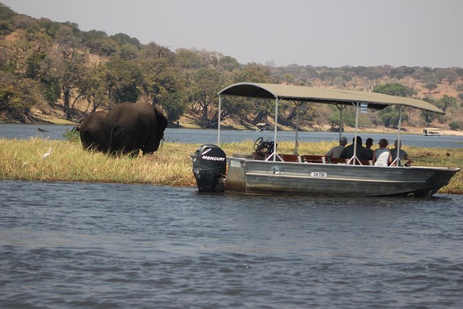 2-Day Camping Safari in Chobe National Park from Victoria Falls - The practical value of a short safari