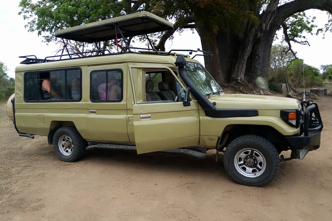 2-Day Private Mikumi National Park Tour with Pickup - The return to Dar es Salaam