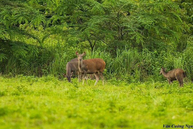 2-Day Trekking & Biking Nam Cat Tien National Park from HCM City - Meals, lodging, and what the $319 price covers