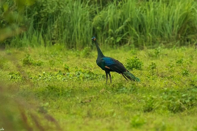 2-Day Trekking & Biking Nam Cat Tien National Park from HCM City - Cycling to Ta Lai Long House