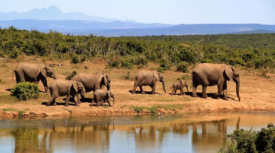 2-Day Tsavo East National Park Safari (with options) - Food, comfort, and the pace of the overnight stay