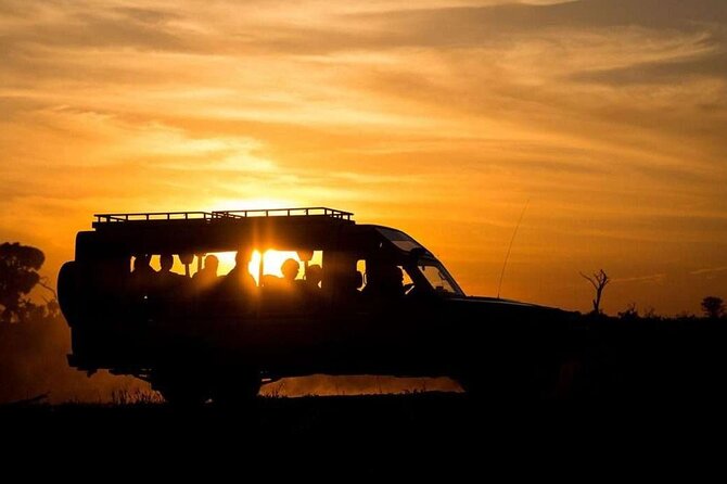 (2 Days, 1 Night) Day & Night Game Drive Tsavo East National Park - Lunch, lodge time, and a change of pace