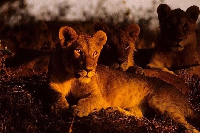 (2 Days, 1 Night) Day & Night Game Drive Tsavo East National Park - First views of Tsavo East