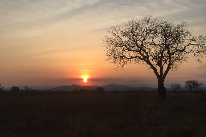 2 Days 1 Night Mikumi National Park - The animals you may see in Mikumi