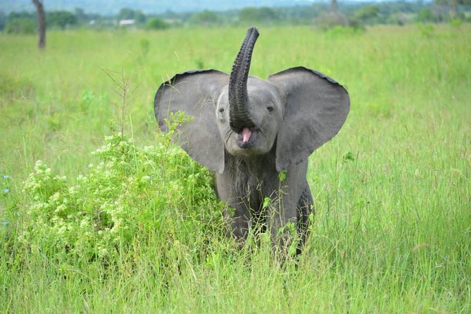 2 Days 1 Night Mikumi National Park from Dar es salaam - Arriving at Mikumi for the sunset drive