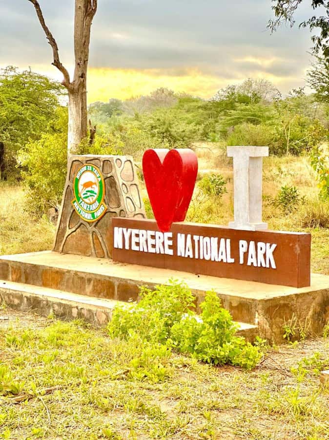 2-Days 1-Night Nyerere National Park from Zanzibar by flight - A full day among Nyerere’s wildlife