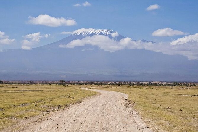 2 Days Amboseli National Park Safari - Why Amboseli works so well for a short safari