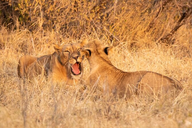 2 Days Amboseli National Park Safari - What to pack for the two days