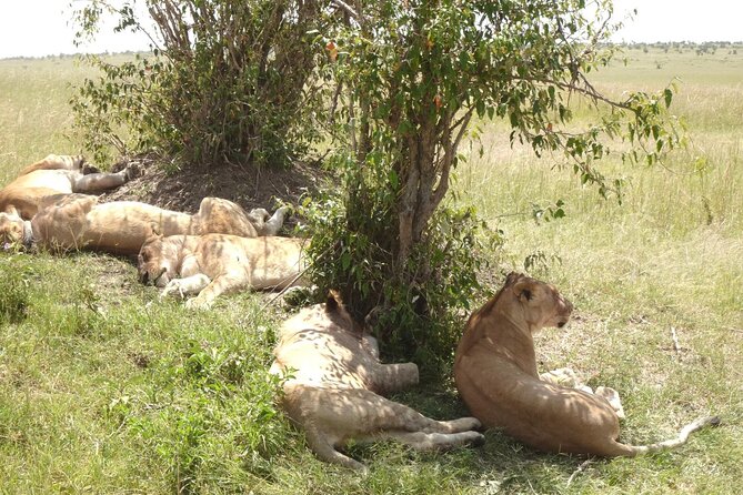 2 Days Amboseli National Park Safari - Leaving Nairobi and making the long approach