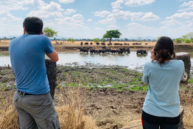 2 Days Best Safari to Mikumi National Park - What the private format changes