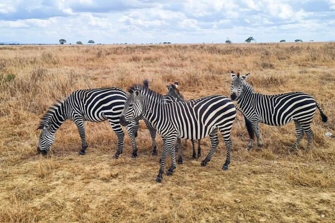 2 Days Best Safari to Mikumi National Park - The road from Dar es Salaam to Mikumi
