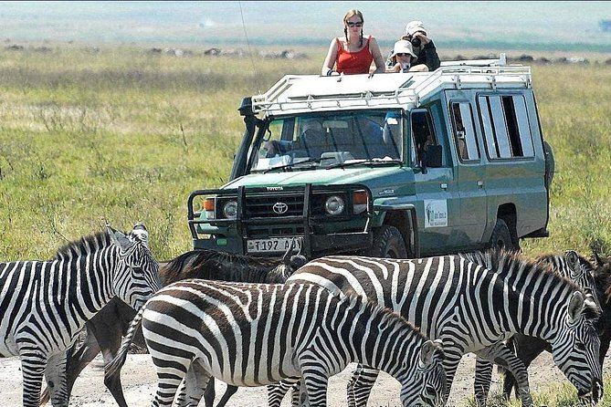 2 Days Joined Group Tarangire and Ngorongoro Crater National Park - Day one in Tarangire: baobabs, elephants, and open country