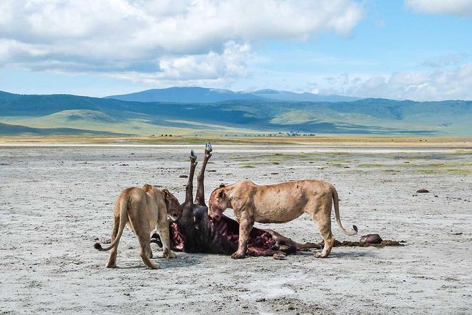 2 Days Joined Group Tarangire and Ngorongoro Crater National Park - Food, lodging, and the practical rhythm