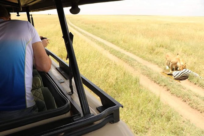 2 Days Joined Group Tarangire and Ngorongoro Crater National Park - How much wildlife can you expect?