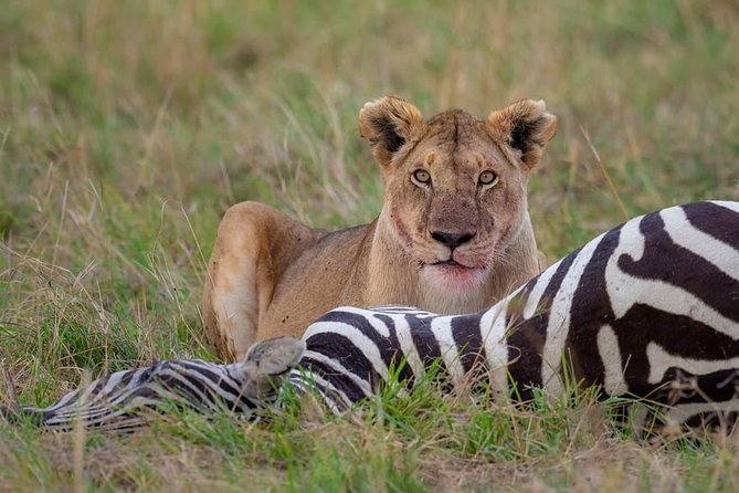2 Days Joined Group Tarangire and Ngorongoro Crater National Park - Who should book this two-day safari?