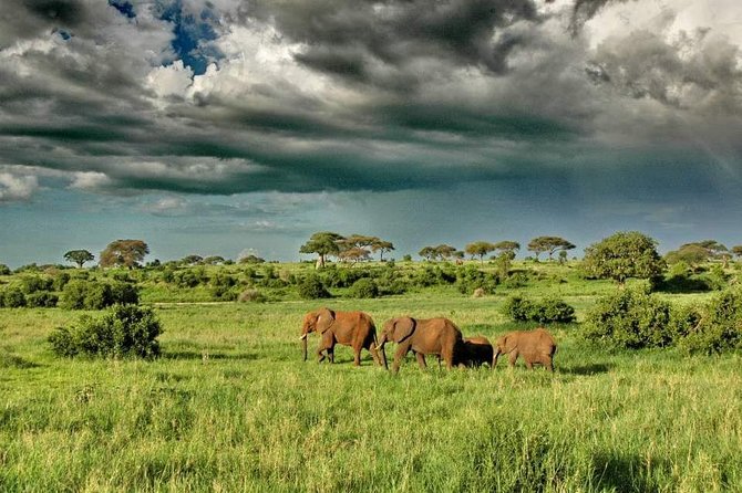 2 Days Joined Group Tarangire and Ngorongoro Crater National Park - What the $490.93 price actually covers