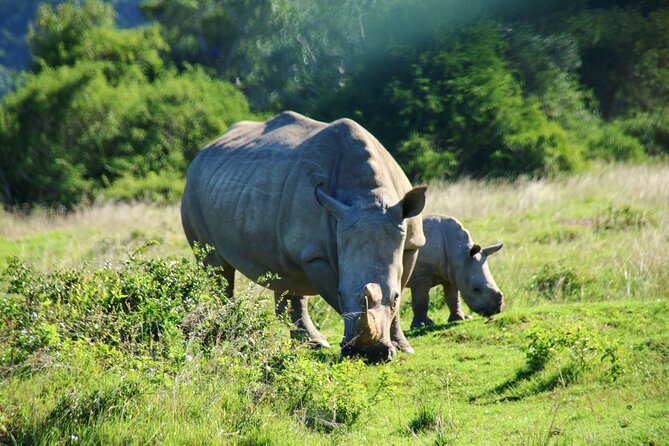 2 days Pilanesberg national park luxury safari - Day one: the 189-kilometer drive to the park