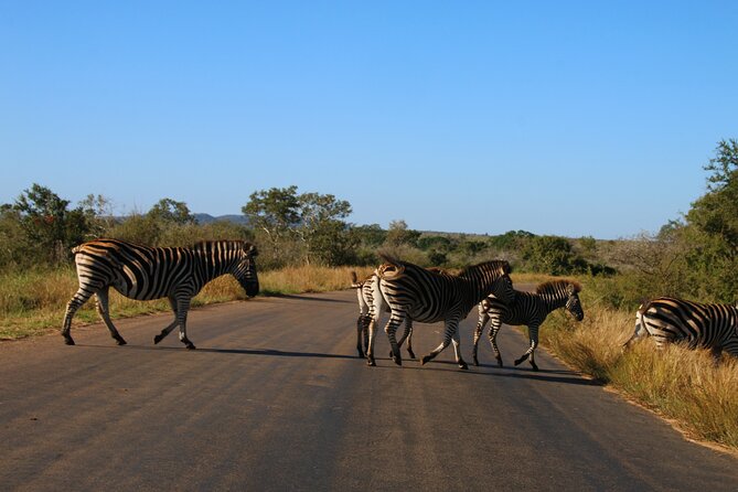 2 days Pilanesberg national park luxury safari - The three-hour sunset game drive