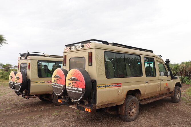 2 Days Tanzania Safari - Lake Manyara and Tarangire National Park - The 6:00 am departure from Arusha