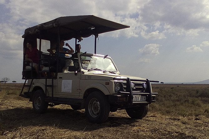 2 Days Wildlife Safari in Mikumi National Park - Key points to know before booking