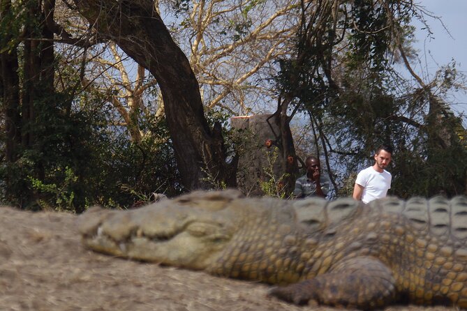 2 Days Wildlife Safari in Mikumi National Park - Who will enjoy this two-day safari