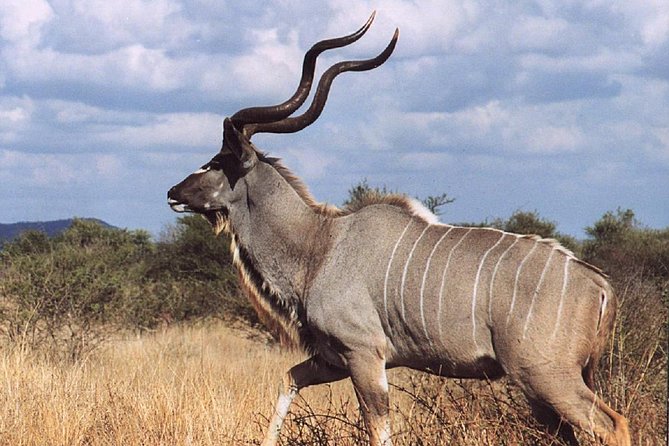 2 Days Wildlife Safari to Awash National Park - Leaving Addis Ababa for the Rift Valley