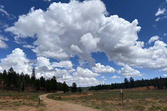 2-Hour, 4-seat ATV Rental next to Bryce National Park - Who will enjoy this most