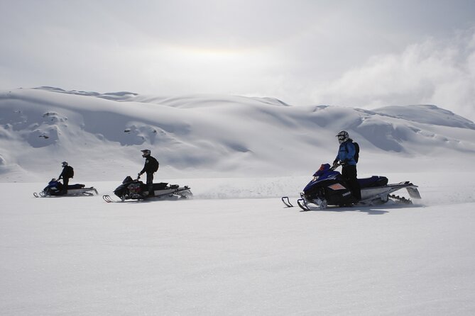 2 Hour Wilderness Adventure Snowmobile Tour in Whistler - What the two hours really include