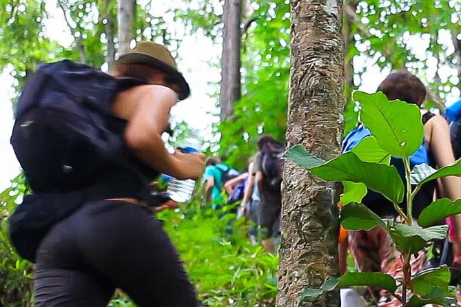 2D1N Mae Wang National Park Jungle Trekking Adventure from Chiang Mai - Who will enjoy this Mae Wang trek
